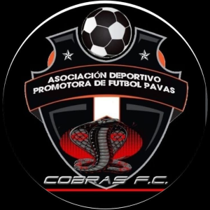 cobras-pavas-red-cup
